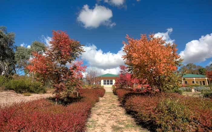 Accommodation Creek Cottages & Sundown View Suites Ballandean Exterior photo